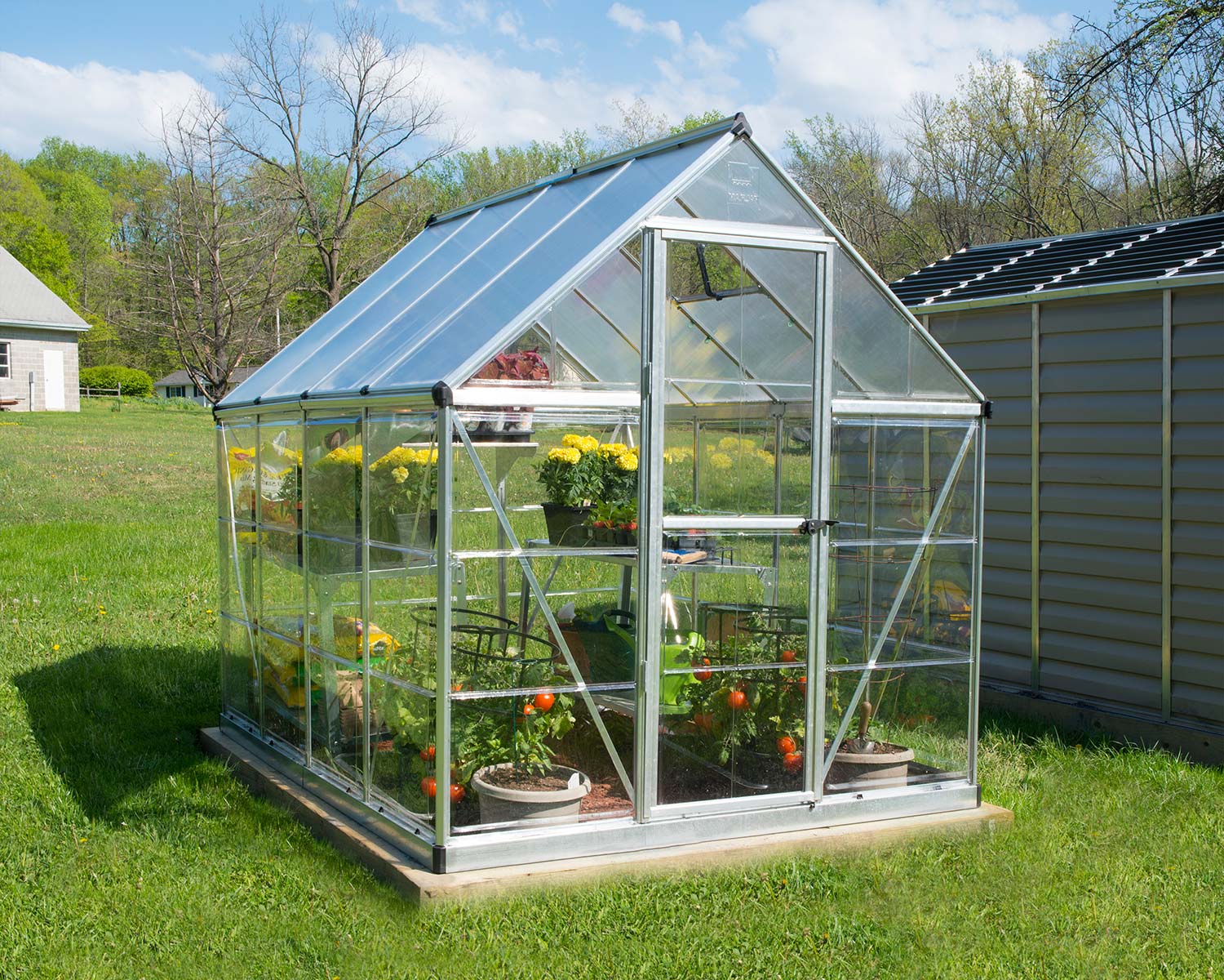 Greenhouse with plants on a grassy lawn