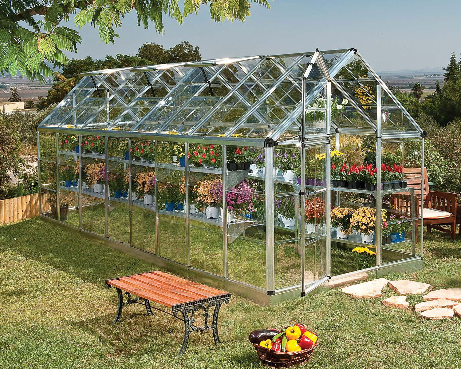 Large glass greenhouse with plants on a grassy area with a wooden bench and fruit basket.