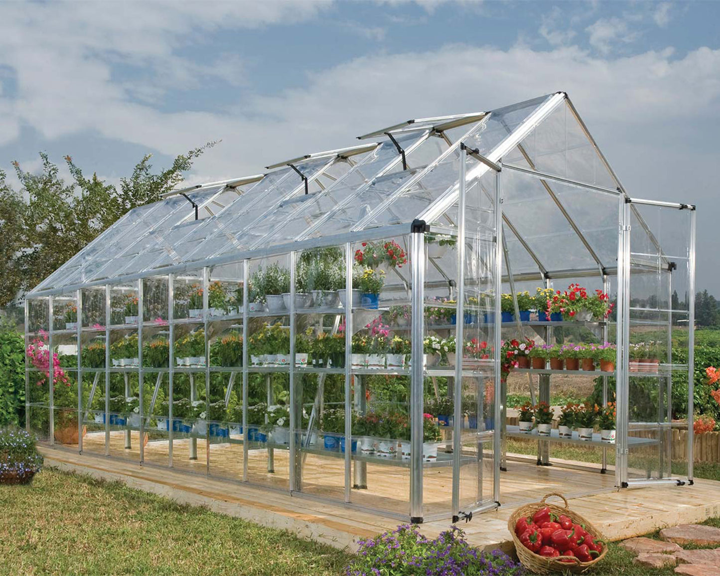 Greenhouse with plants and a cloudy sky